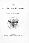 Thumbnail 0004 of The little brown bird
