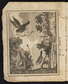 Thumbnail 0016 of The tragi-comic history of the burial of Cock Robin