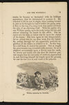 Thumbnail 0011 of William Seaton and the butterfly