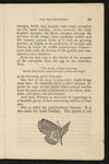 Thumbnail 0017 of William Seaton and the butterfly