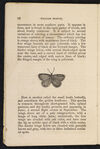 Thumbnail 0018 of William Seaton and the butterfly