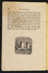 Thumbnail 0026 of William Seaton and the butterfly