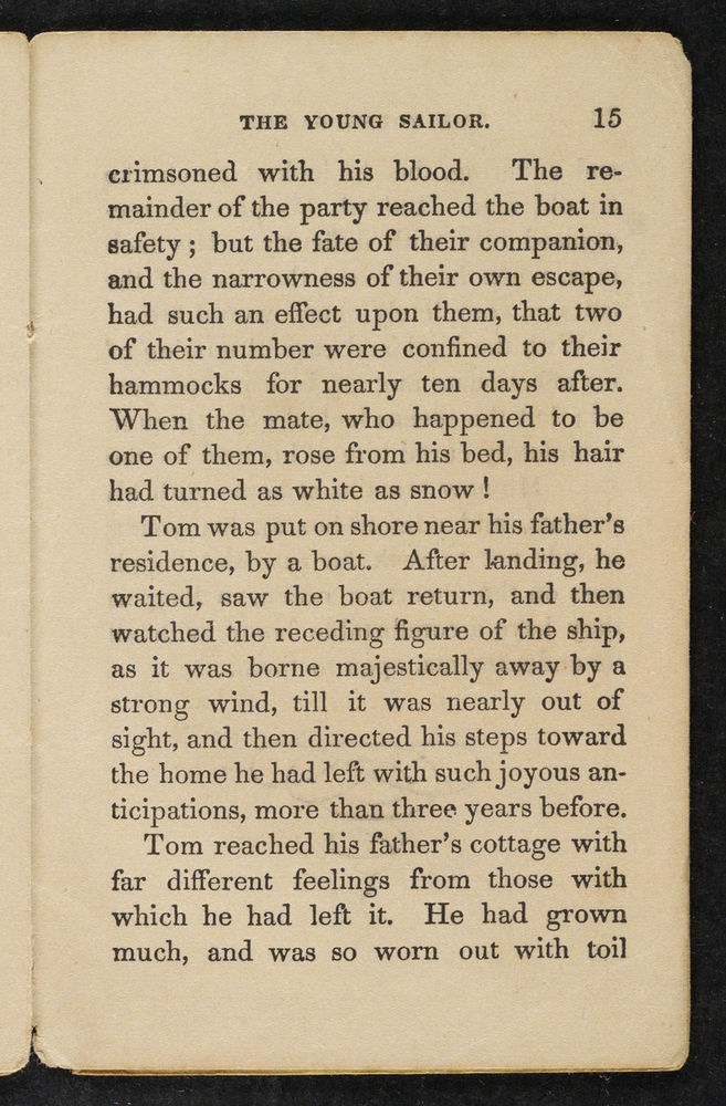 Scan 0017 of The young sailor, or, The sea-life of Tom Bowline