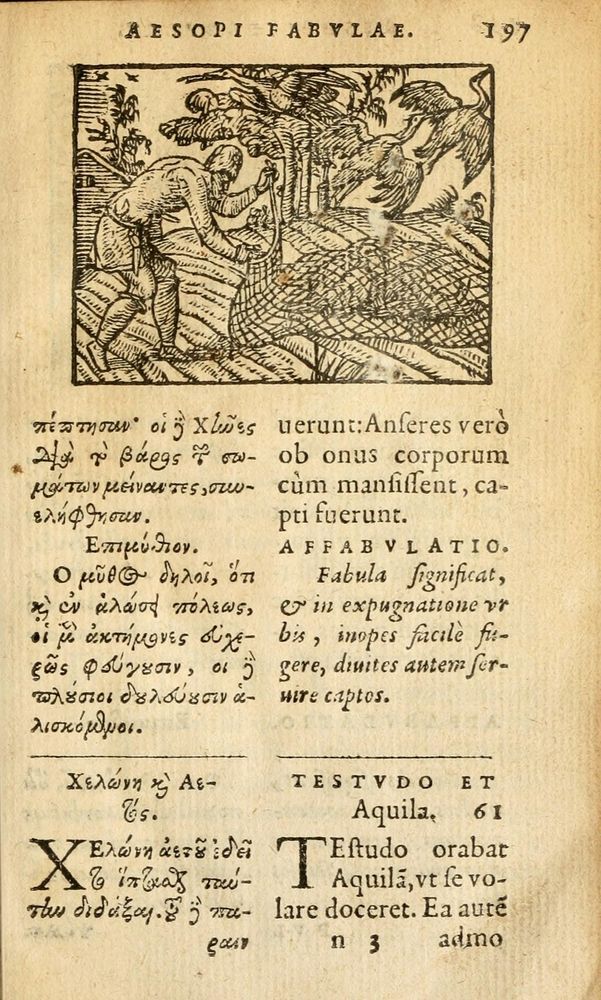 Scan 0199 of Aesopi Phrygis Fabulae