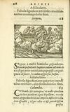 Thumbnail 0124 of Aesopi Phrigis Et Aliorvm Fabvlae