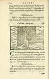 Thumbnail 0128 of Aesopi Phrigis Et Aliorvm Fabvlae