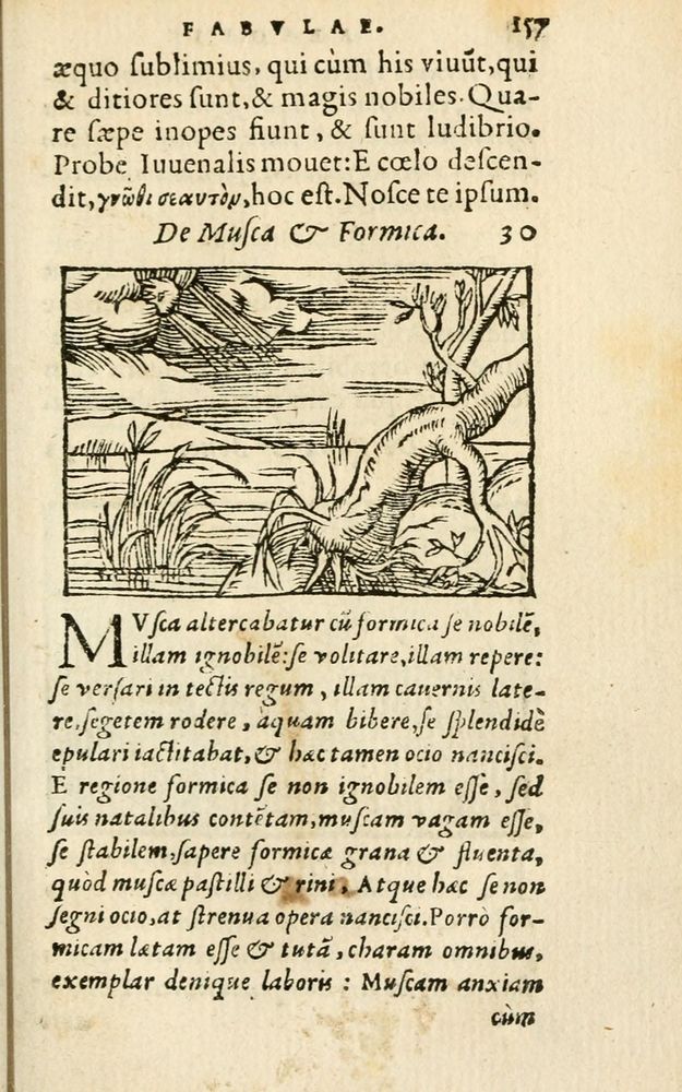 Scan 0163 of Aesopi Phrigis Et Aliorvm Fabvlae
