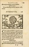 Thumbnail 0205 of Aesopi Phrigis Et Aliorvm Fabvlae