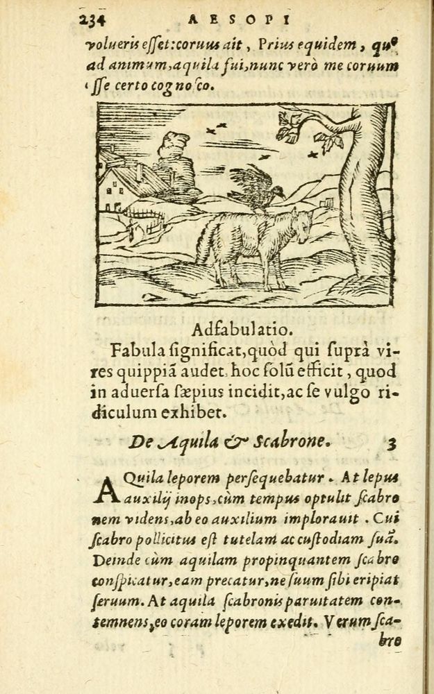 Scan 0240 of Aesopi Phrigis Et Aliorvm Fabvlae