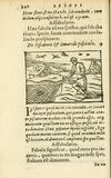 Thumbnail 0246 of Aesopi Phrigis Et Aliorvm Fabvlae
