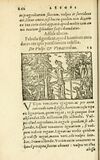 Thumbnail 0248 of Aesopi Phrigis Et Aliorvm Fabvlae