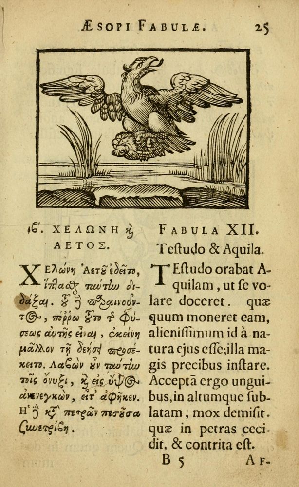 Scan 0029 of Fabulæ Æsopi Graecè & Latinè, nunc denuo selectæ