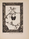 Thumbnail 0261 of Fairy tales by Hans Andersen