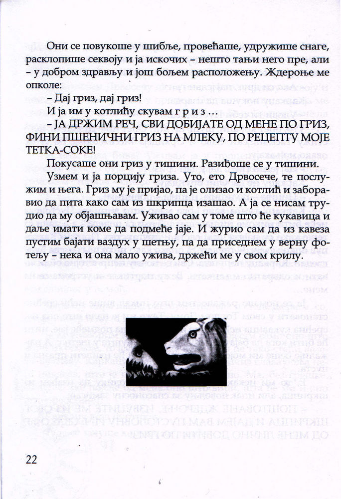 Scan 0026 of Pustolov