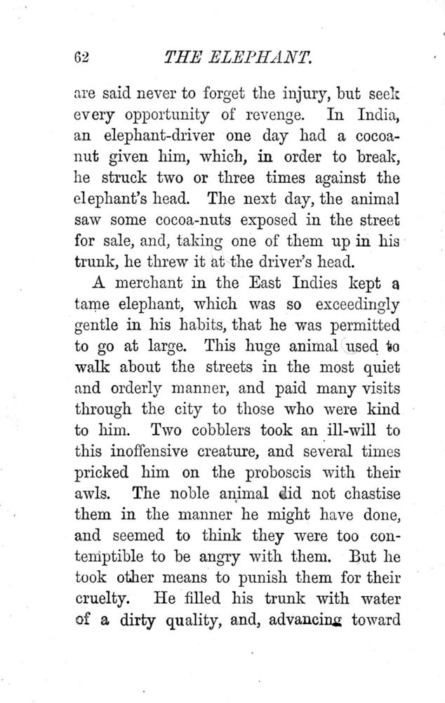 Scan 0065 of A book of favourite animals