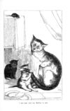 Thumbnail 0031 of Chit-chat by a little kit-cat