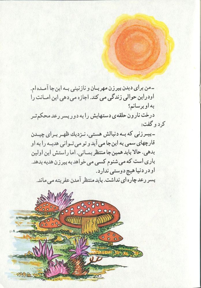 Scan 0013 of پسر رعد