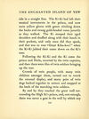 Thumbnail 0174 of The enchanted Island of Yew