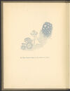 Thumbnail 0006 of The Bay and Padie book