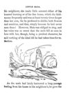Thumbnail 0028 of Bo-Peep story books