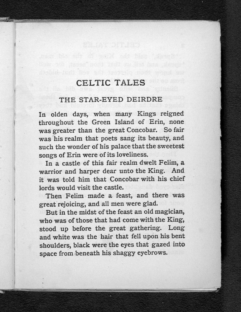 Scan 0017 of Celtic tales