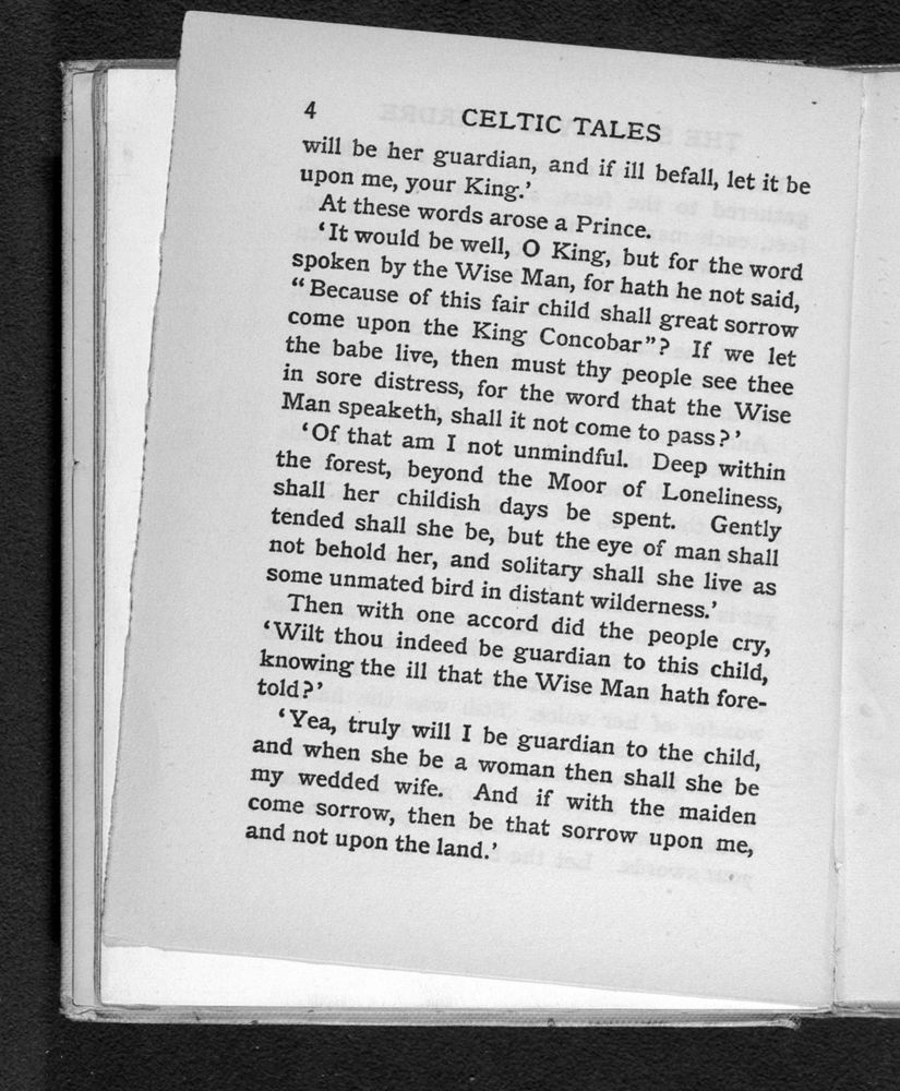 Scan 0022 of Celtic tales