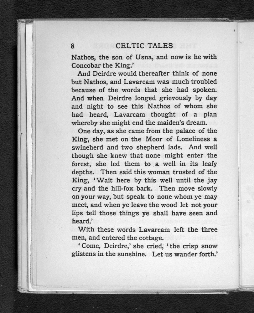 Scan 0026 of Celtic tales