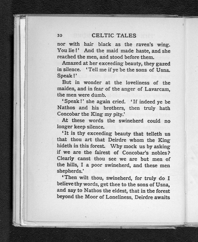 Scan 0028 of Celtic tales