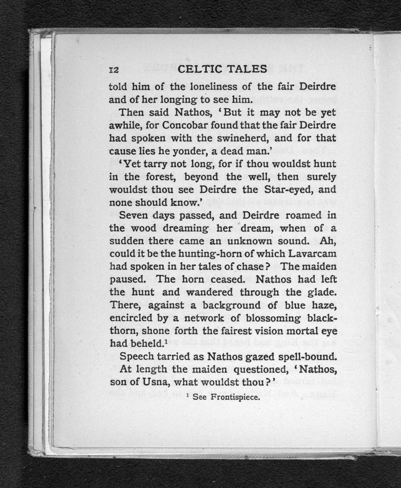 Scan 0030 of Celtic tales