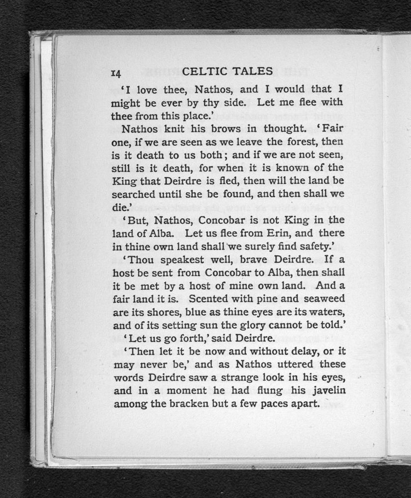 Scan 0032 of Celtic tales