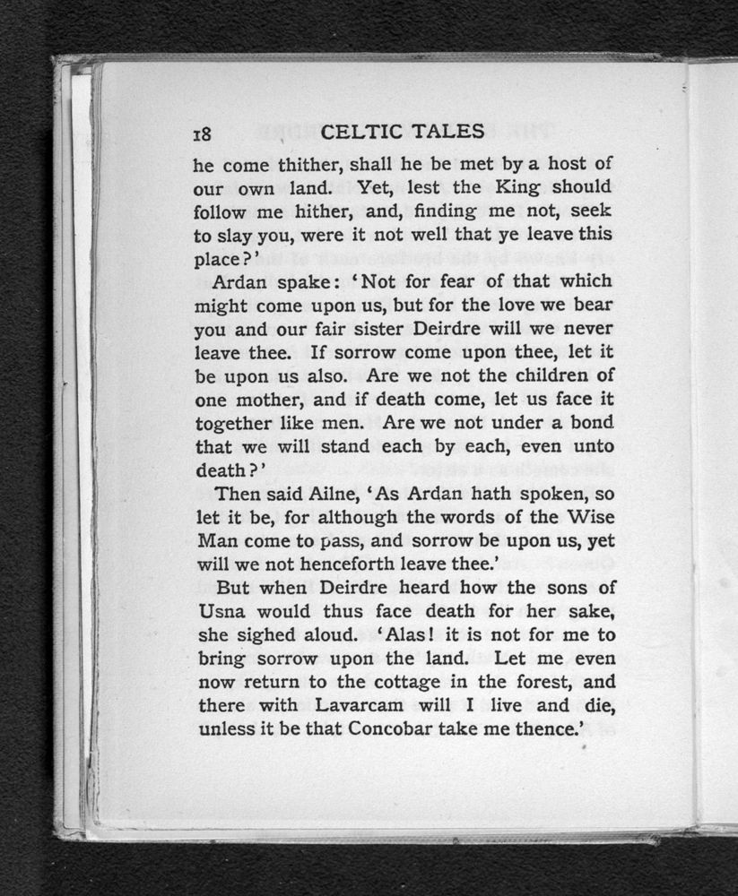 Scan 0036 of Celtic tales