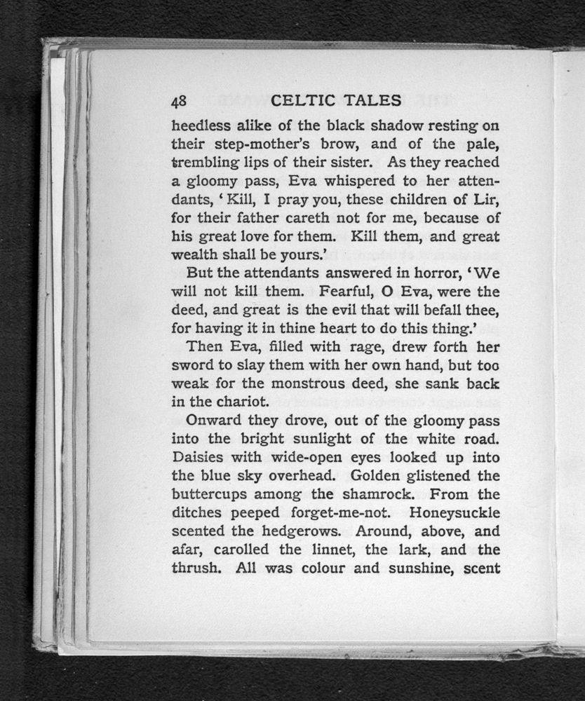 Scan 0070 of Celtic tales
