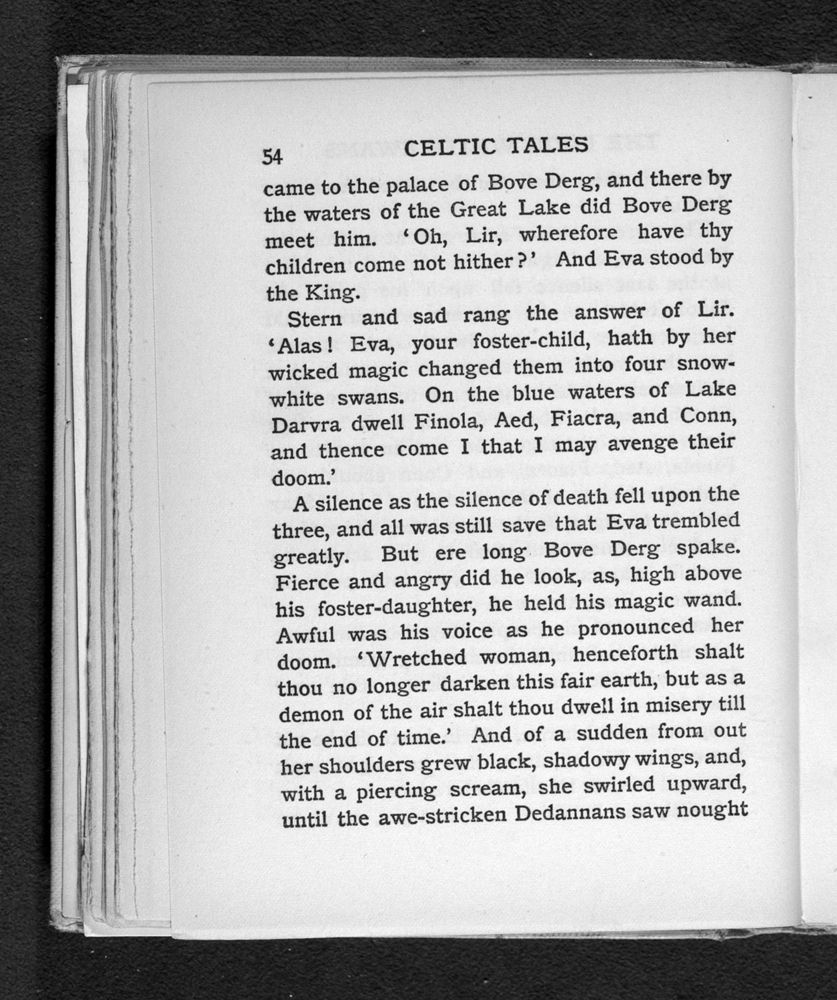 Scan 0078 of Celtic tales
