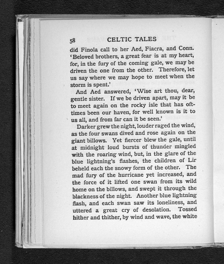 Scan 0082 of Celtic tales