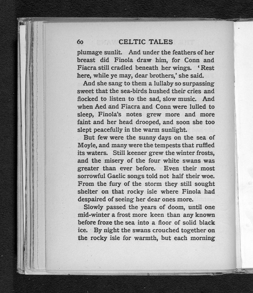 Scan 0084 of Celtic tales