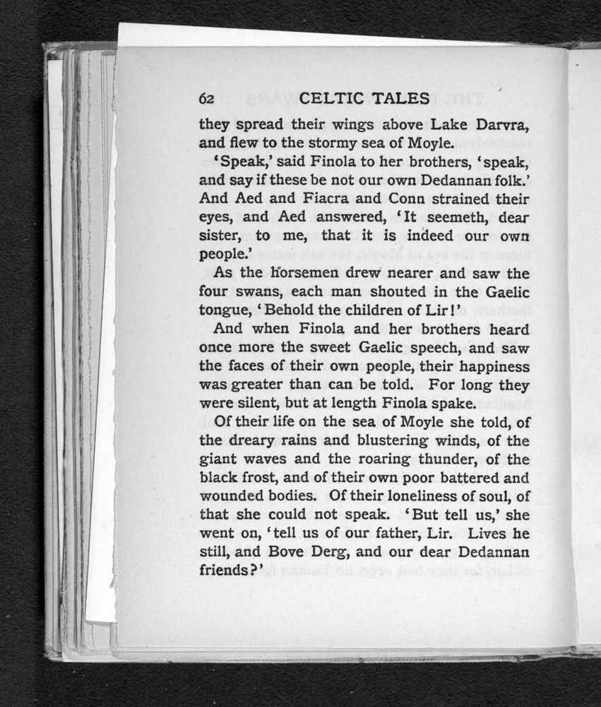 Scan 0088 of Celtic tales