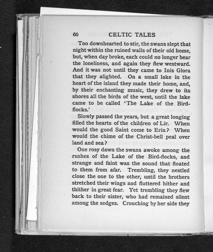 Scan 0092 of Celtic tales