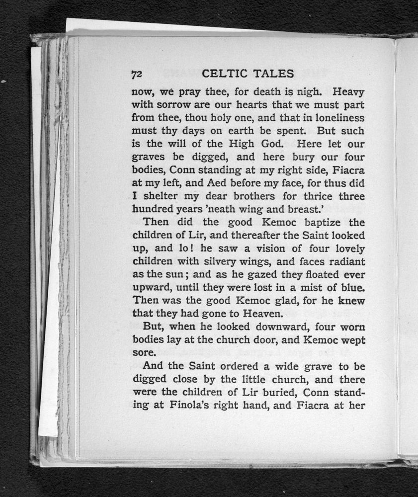 Scan 0100 of Celtic tales