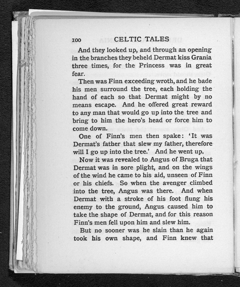 Scan 0130 of Celtic tales