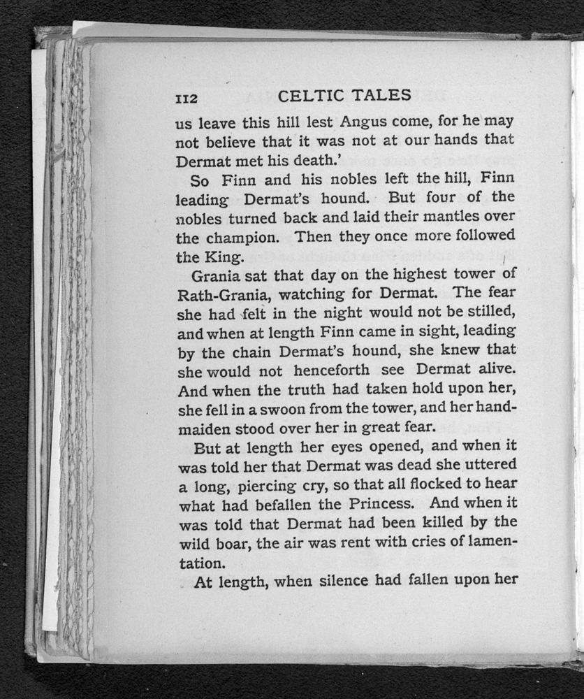 Scan 0142 of Celtic tales