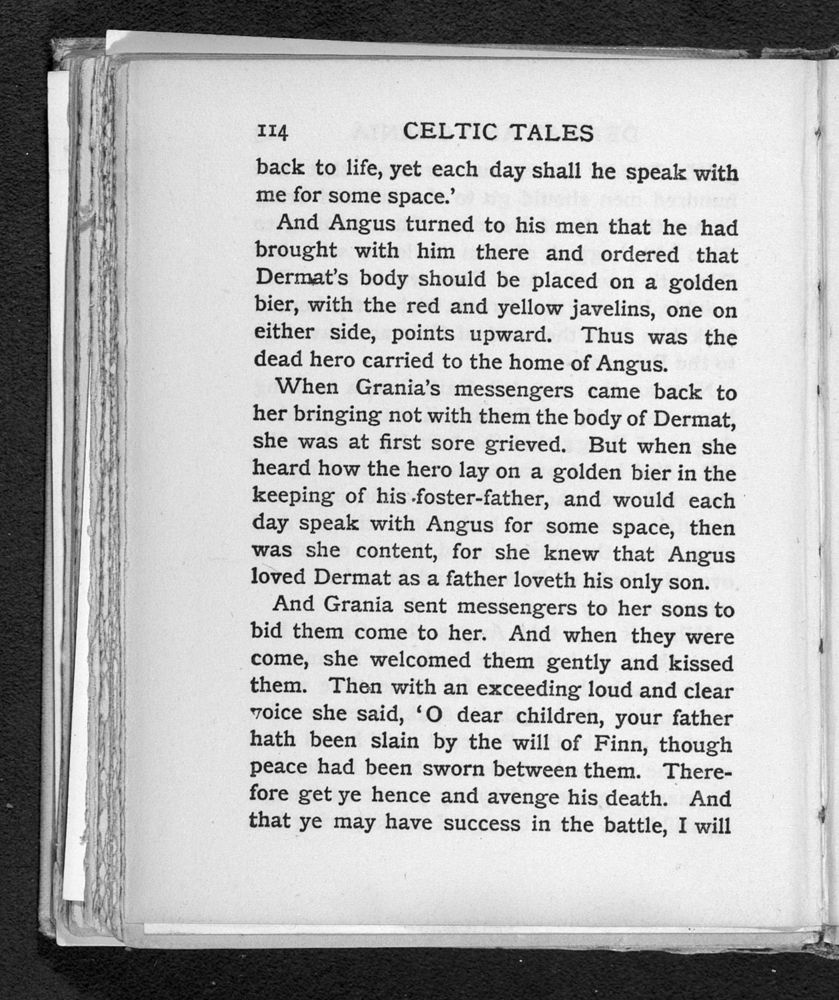 Scan 0146 of Celtic tales