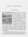 Thumbnail 0010 of Pets abroad