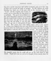 Thumbnail 0013 of Robinson Crusoe, his life and adventures