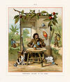 Thumbnail 0038 of Robinson Crusoe, his life and adventures