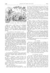 Thumbnail 0060 of St. Nicholas. May 1874
