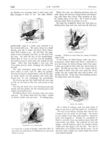 Thumbnail 0024 of St. Nicholas. September 1874