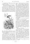 Thumbnail 0019 of St. Nicholas. December 1874
