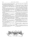 Thumbnail 0021 of St. Nicholas. May 1875