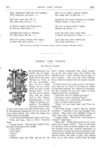 Thumbnail 0032 of St. Nicholas. June 1875