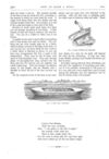 Thumbnail 0053 of St. Nicholas. July 1875